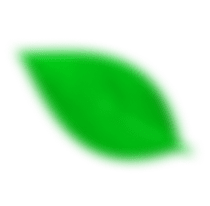 Footer Leaf 2