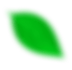 Footer Leaf