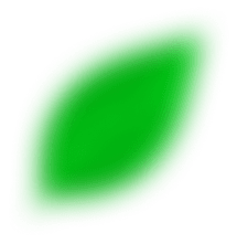 Product Leaf 2